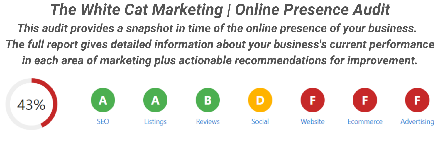 Online Presence Audit